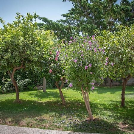 Piso Con Jardin Apartment Малага Екстериор снимка